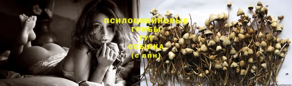 скорость Баксан