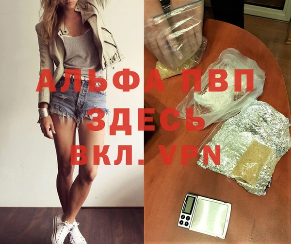стаф Балахна