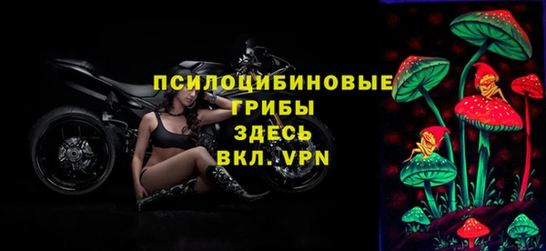 стаф Балахна