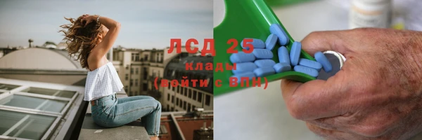 стаф Балахна