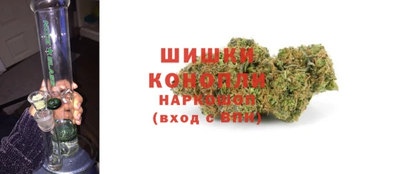 стаф Балахна
