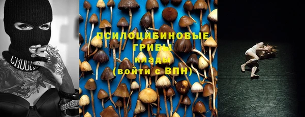 стаф Ростов